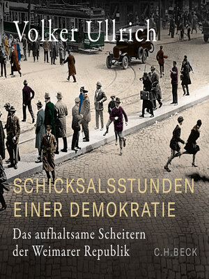 cover image of Schicksalsstunden einer Demokratie